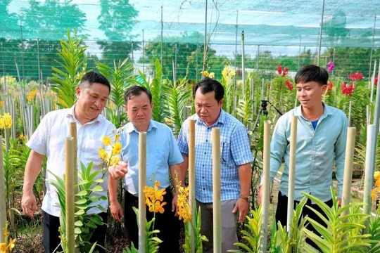 Những người nông dân Đồng Nai làm giàu tiêu biểu, từ nuôi vật đặc sản đến trồng loài hoa lạ