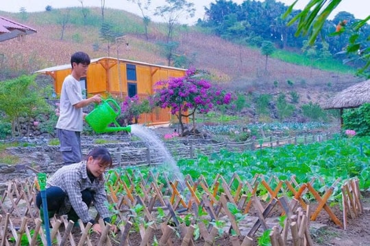 Hà Văn Sáng - Chàng trai bỏ phố về quê dựng “khu vườn cổ tích”, kiếm tiền từ nông nghiệp và YouTube