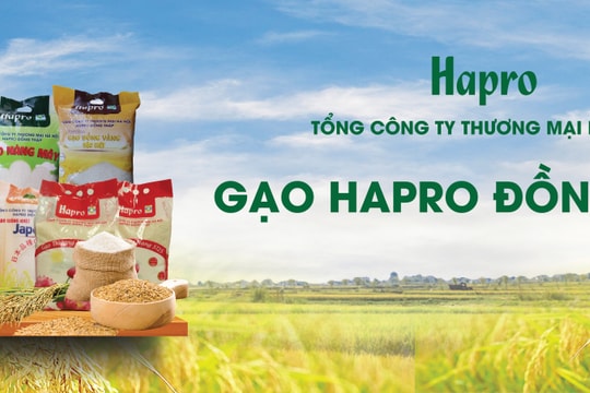 Gạo Hapro Đồng Tháp – Nâng tầm hạt ngọc Việt