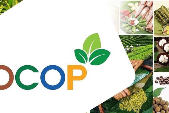 Tiêu chí đánh giá, phân hạng sản phẩm OCOP