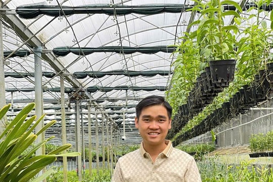 Bán chiếc xe máy đầu tiên để khởi nghiệp, chàng trai 9X xây dựng vườn lan tiền tỷ giữa cao nguyên