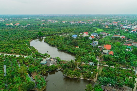 Nổi tiếng là vùng "vải tổ", xã mới 25km2 của Hải Phòng đang sắp xếp lại địa giới, tạo nền cho đô thị sinh thái và mở rộng không gian phát triển