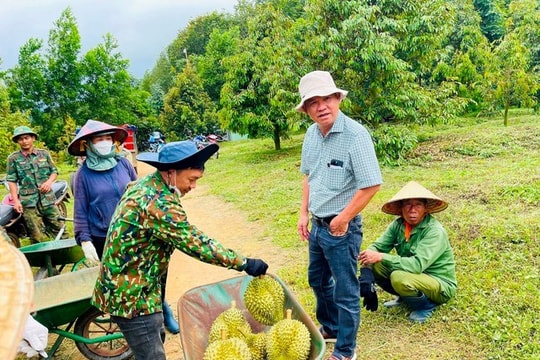 Lợi thế đặc biệt của sầu riêng nhà bầu Đức trong thị trường nhiều biến động