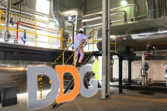 Gần 80 triệu cổ phiếu DDG bị hủy niêm yết, doanh nghiệp nói gì về kế hoạch tái cấu trúc?