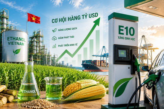 Xăng E10 mở ra cơ hội hàng tỷ USD cho ngành ethanol Việt Nam