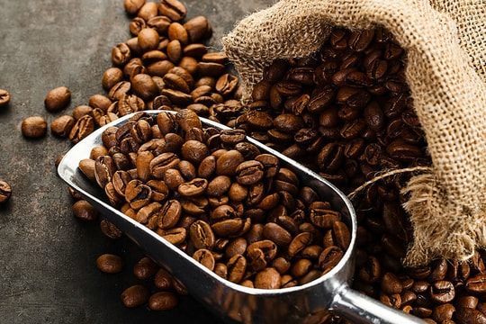 Giá cà phê hôm nay 5/6/2026: Robusta lao dốc hơn 90 USD/tấn