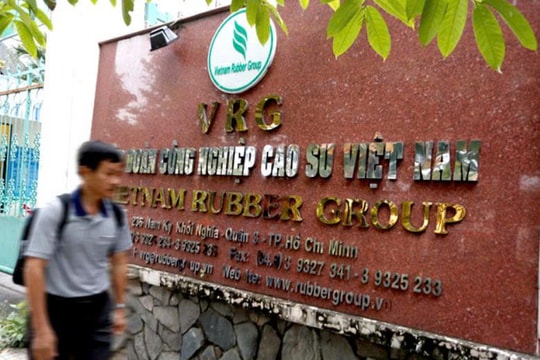 Chưa đạt chuẩn yêu cầu về tỷ lệ sở hữu, tại sao GVR không bị hủy tư cách công ty đại chúng?