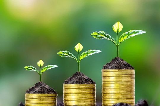Lịch cổ tức tuần tới: Novaland, Điện lực Gelex, CEO, F88, PGBank cùng gần 40 doanh nghiệp chốt quyền