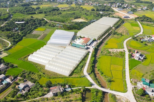Xã mới 185 km2 ở Quảng Ninh tận dụng lợi thế cao tốc Hạ Long - Móng Cái để mở không gian phát triển, mục tiêu thành mô hình kiểu mẫu