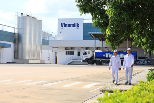 Vinamilk chia sẻ kinh nghiệm giảm phát thải trong bối cảnh thị trường carbon chuẩn bị hình thành