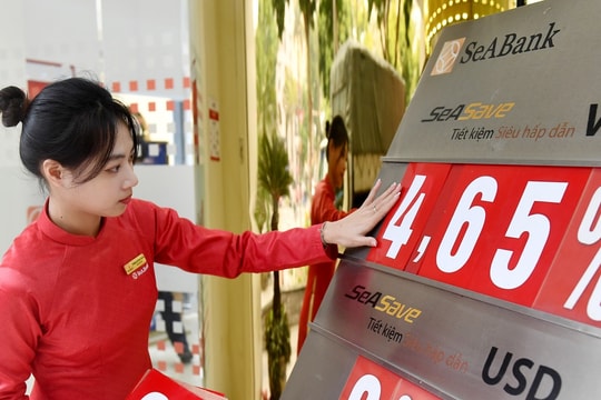 Lãi suất ngân hàng hôm nay 13/6: Big4 duy trì mặt bằng thấp