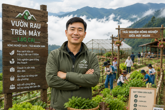 Khởi nghiệp với mô hình “vườn rau trên mây”: Người đàn ông Lào Cai biến nông nghiệp vùng cao thành trải nghiệm hút khách