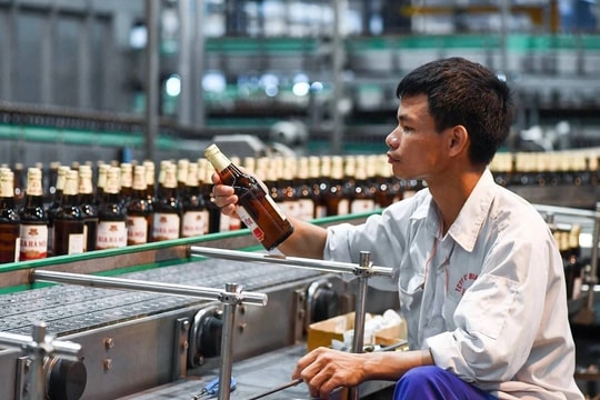 Cổ phiếu tăng hơn 13% từ đầu năm, một doanh nghiệp bia địa phương sắp trả cổ tức tiền mặt