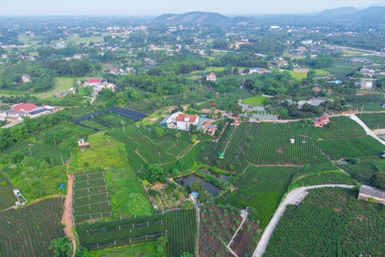 Xã mới phía Nam Thái Nguyên: Rộng gần 58 km2, sở hữu đặc sản “đệ nhất danh trà”, hướng tới trở thành trung tâm du lịch sinh thái