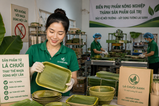Khởi nghiệp từ lá chuối: Cô gái trẻ biến phụ phẩm nông nghiệp thành sản phẩm thay thế nhựa dùng một lần