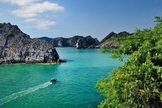 Việt Nam sở hữu 4 vịnh biển đẹp bậc nhất thế giới: Có nơi được ví như "thiên đường xanh", hút khách quốc tế quanh năm