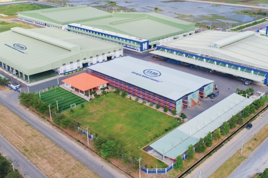 Nhựa Bình Minh (BMP): Câu chuyện cổ tức còn hấp dẫn dù lợi nhuận chịu áp lực
