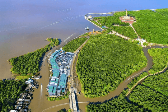 Vùng đất nơi cực Nam Tổ quốc: 4 ngày 3 đêm trải nghiệm rừng ngập mặn và biển đảo vẫn chưa khám phá hết
