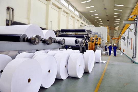 Ăn nên làm ra, Giấy Việt Trì (GVT) chốt quyền trả cổ tức tiền mặt cao nhất lịch sử