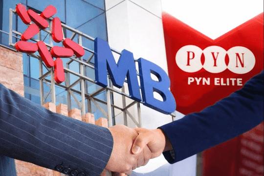 Thoái vốn chóng vánh tại MBB, PYN Elite đang toan tính gì khi mua thêm HPG, FPT?