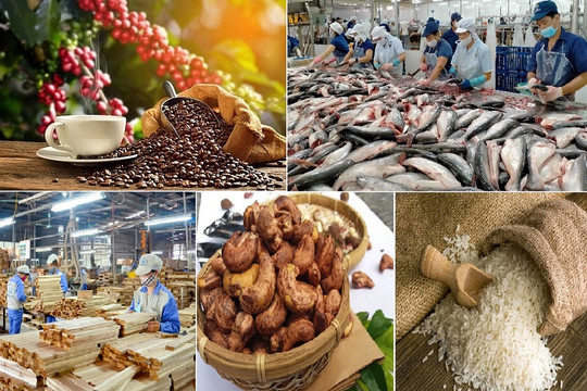 Xuất khẩu nông lâm thủy sản tiến sát 36 tỷ USD sau 6 tháng, nhiều ngành hàng bứt phá